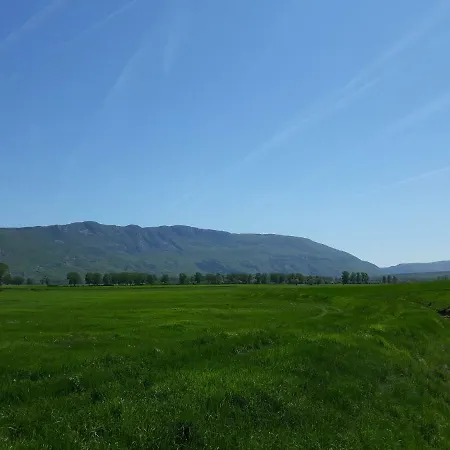 Tina Daire